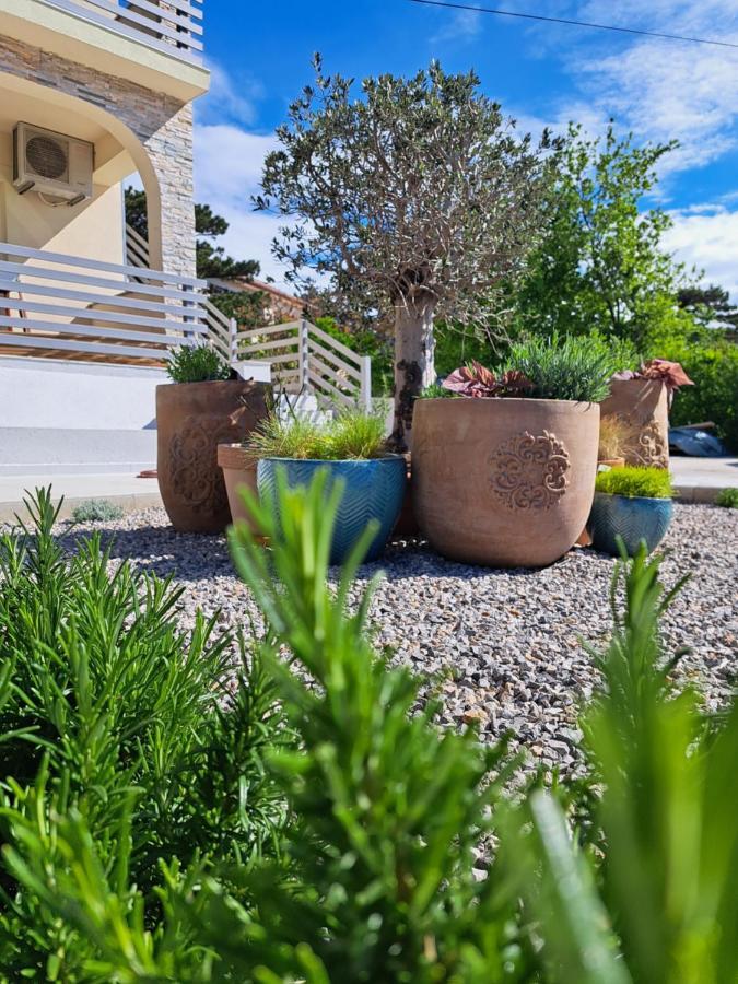 Vila Aria - Health & Wellness App Novi Vinodolski Eksteriør billede